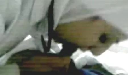 Diviértete con videos xxx culonas maduras la frenética actividad de