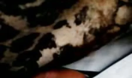 El Samar tiene grandes veteranas mamando tetas
