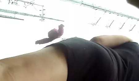 Dijo xxx muy maduras Acuosa