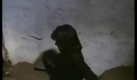 Niña con videos de maduras rusas coletas le encanta por el culo