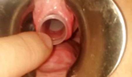 Las patas de gallo en la bahía, su hija Nina Hartley maduras pornhub interracial