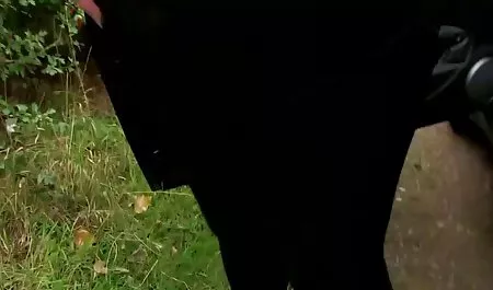 Pyshka brotes de madura se folla a joven cine con su novio calvo